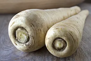 Grocery Store Produce Drucke: Parsnips