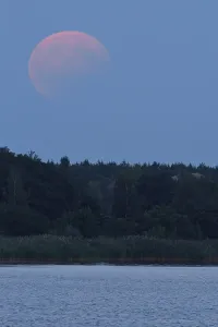 Lunar Eclipse Germany Drucke: Partial lunar eclipse, Middle Elbe Biosphere Reserve