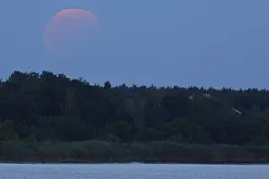 Middle Elbe Biosphere Reserve Drucke: Partial lunar eclipse, Middle Elbe Biosphere Reserve