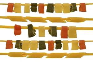 Diverse Pasta Dishes Drucke: Pasta, multiple varieties