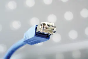 Data Transmission Equipment Drucke: Patch cable
