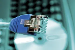 Studio Shot Detail View Drucke: Patch cable plug