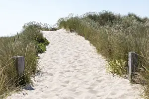 Deserted Beach Germany Drucke: Path to the beach, reed grass, sand