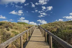 Wooden Walkway Drucke: Path through the dune landscape