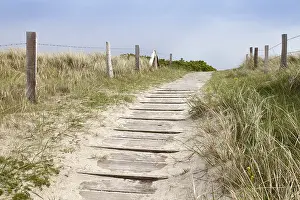 Wangerooge Island Drucke: Path across the dune, Wangerooge