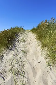 Empty Shoreline Photoshoots Drucke: Path through Dunes too the Beach