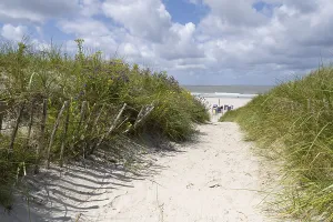 Sandy Beach In Germany Drucke: Path through the dunes to the beach