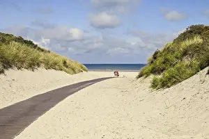 North Sea Shoreline Drucke: Path through the dunes to the beach