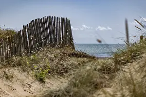 Drucke von Weg durch die Dünen zum Strand und zur See, Dünengebiet mit dem typischen Holzzaun aus der Region, Portbail, Ärmelkanal, Cotentin, Manche, Normandie Frankreich Manche Drucke: Weg durch die Dünen zum Strand und ins Meer.