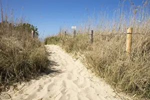 Deserted German Beach Drucke: Path through the dunes, Cuxhaven