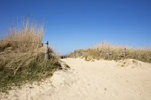 Deserted Dune Landscape Drucke: Path through the dunes, Cuxhaven