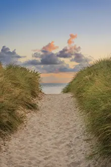 Morning Atmosphere Germany Drucke: Path through the dunes in the morning light