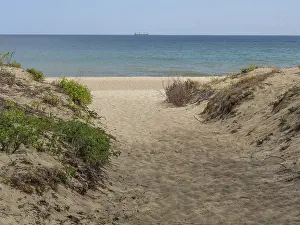Serene Sandy Beach Scene Drucke: Path through the dunes to the sea