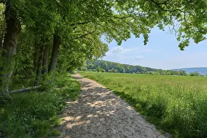 Lower Franconia Scenery Drucke: Path, edge of forest, spring, Elsenfeld