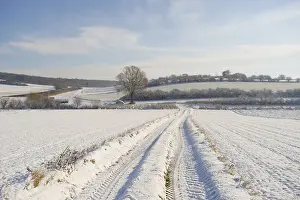 European Countryside Winter Scene Drucke: Path through a field with tractor tracks in winter