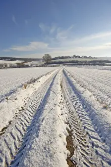 Lower Austria Winter Scene Drucke: Path through a field with tractor tracks in winter