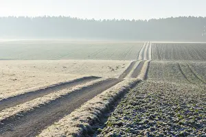 Agricultural Land In Winter Time Drucke: Path through fields, Baden-Wurttemberg
