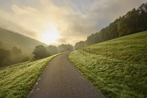 Cloudy Valley Scene Drucke: Path, forest, valley, meadow, clouds