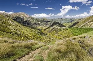 Mountainous Landscape Drucke: Path across the hills, Craigieburn Range