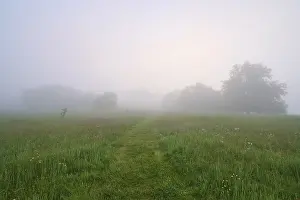 Central Europe Misty Mood Drucke: Path, meadow, trees, fog, clouds