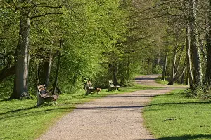 Southern Germany Uplands Scenery Drucke: Path, Park, Bench, Forest, Spring