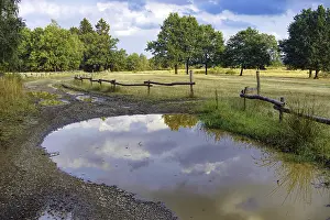 Cloudy Sky Reflection Drucke: Path with puddles reflecting the sky