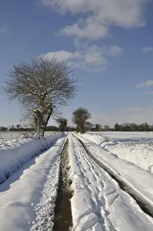 Wintry Agricultural Landscape Drucke: Path under the snow in Brittany