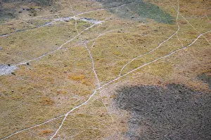 Drucke von Wege, Wanderwege im Landesinneren, Tierpfade Luftbild des Okavango-Deltas in der Nähe von Maun, Okavango-Delta, Botswana Maun Drucke: Wege, Wanderwege in der Landschaft