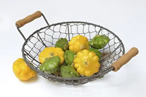 German Vegetables Drucke: Patisson pumpkins in wire bowl