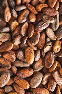 Appetizing Chocolate Dish Drucke: Pattern of the cocoa beans background, top view