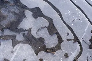 Ice Crystal Pattern Drucke: Pattern on frozen water surface