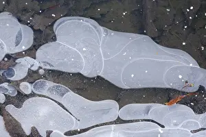 Ice Crystal Pattern Drucke: Pattern on frozen water surface