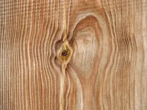 Deciduous Tree Branches Drucke: Pattern in a wooden board