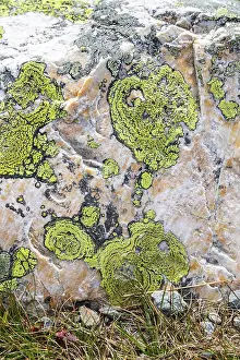 European Wilderness Photography Drucke: Patterns of braiding on rocks inspire the imagination