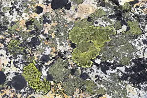 Dalarna County Travel Photography Drucke: Patterns of braiding on rocks inspire the imagination