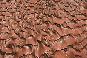 Utah Desert Landscape Photography Drucke: Patterns in sand after heavy thunderstorm
