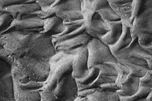 Black And White Nature Photography Drucke: Patterns in the sand in the mudflats at low tide