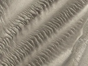 Skeleton Coast National Park Drucke: Patterns in the sand of the Namib Desert