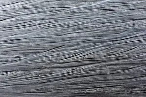 Wind Shaped Sand Structure Drucke: Patterns in wet sand, Denmark