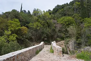 Southeastern Europe Landscape Drucke: Paved path over an old stone bridge with a view into a dense forest