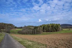 Blue Sky Landscape Drucke: Paved road cutting through spring fields