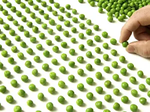 Quality Check Drucke: Pea counting