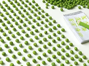 Quality Check Drucke: Pea counting