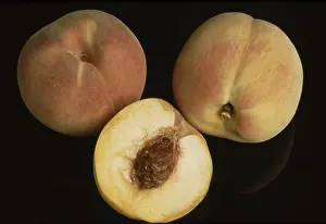 Fresh Peaches Drucke: Peaches