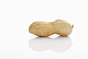 Nature Photography Studio Drucke: A peanut