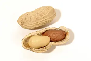 Peanut Nutrition Facts Drucke: Peanuts