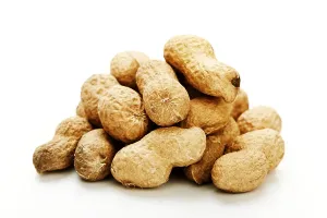 Legume Plant Photography Drucke: Peanuts