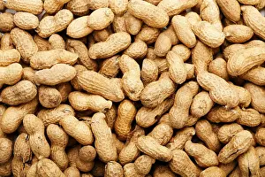 Studio Shot Of Nuts Drucke: Peanuts