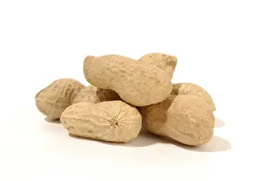 Close Up Peanuts Drucke: Peanuts