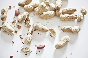 Plant Life Outdoors Drucke: Peanuts
